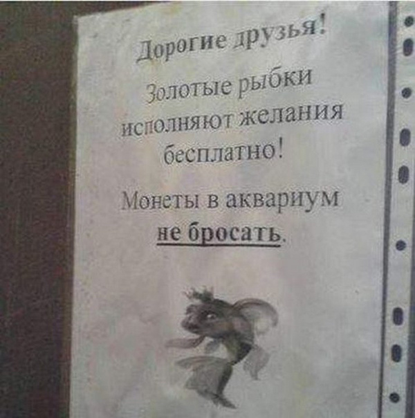 ТОП прикольных объявлений