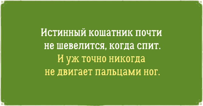 Подборка афоризмов про котов