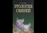 Проститутки 74-й роты