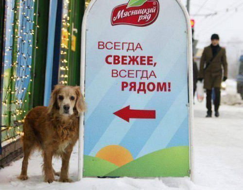 Прикольные надписи и реклама