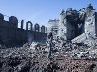 Обои на рабочий стол The Hunger Games HD