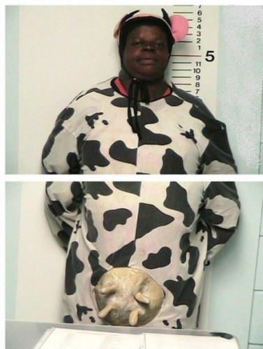 Корова-правонарушитель