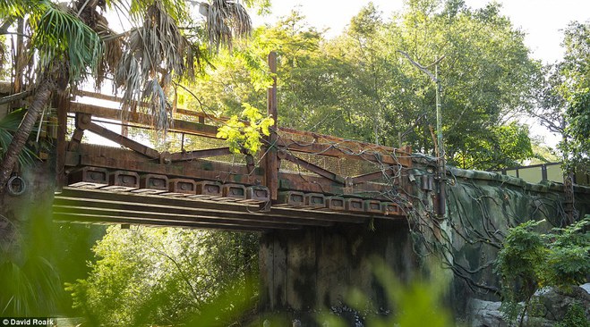 Walt Disney World - АВАТАР