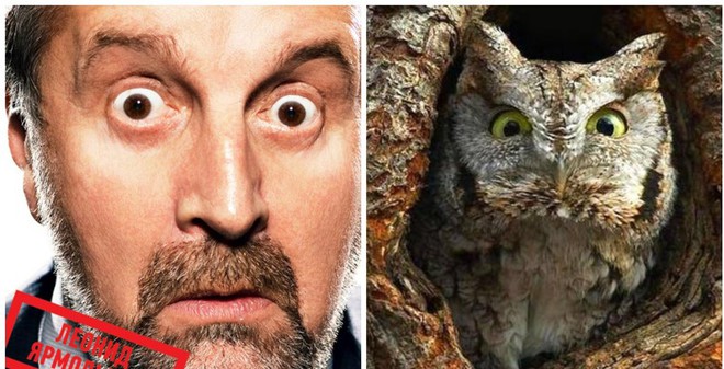 Смешные совпадения