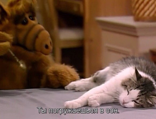 Теперь ты бублик!