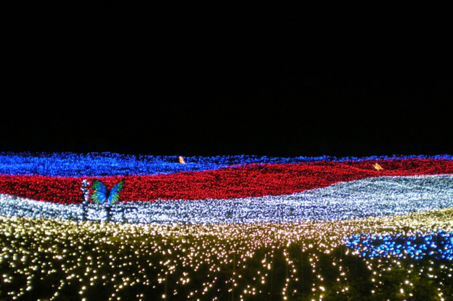 Фестивали февраля: цветы из льда в Японии