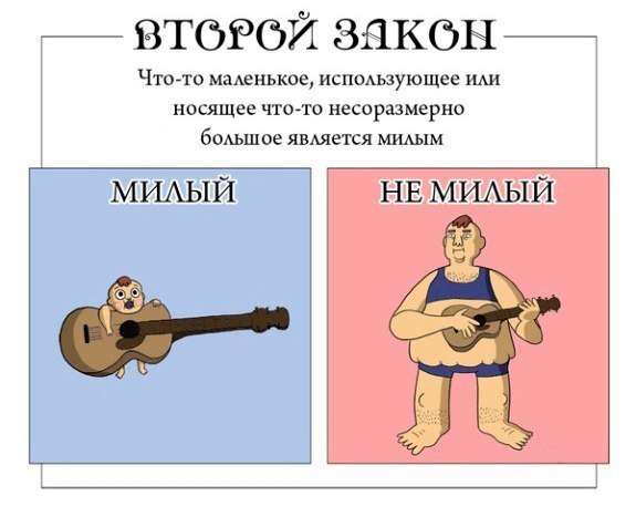 6 законов мимимишности