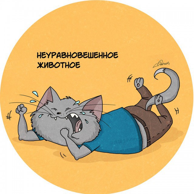 А кто ты по утрам?