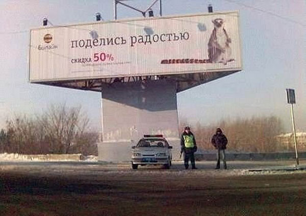 Маразмы месяца