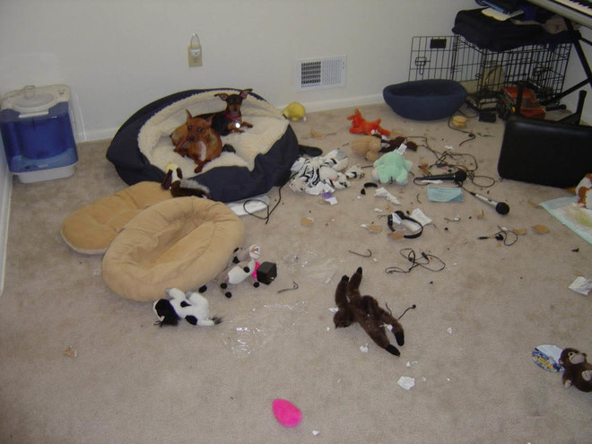 Утро не заладилось