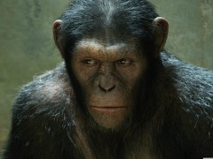 Повстання планети мавп