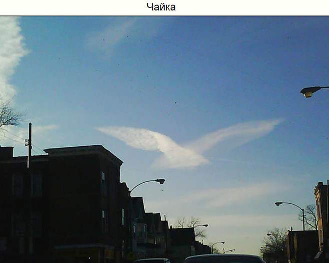 Показалось