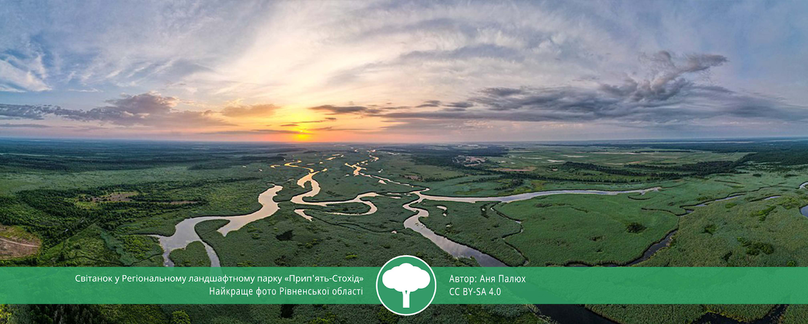 Вики любит Землю 2021