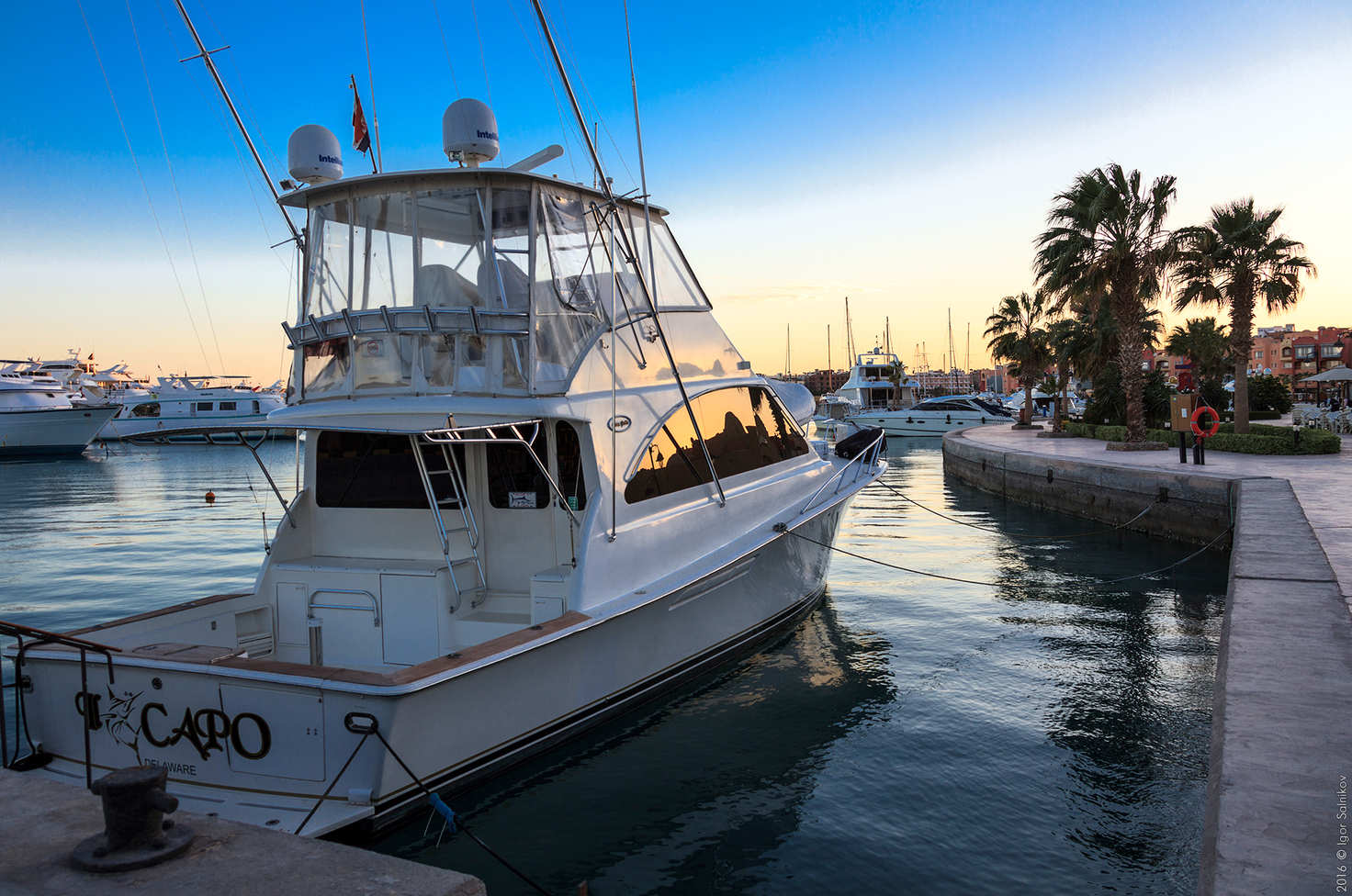 Египет, заповедник Махмея