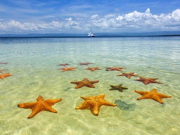 Пляж морских звезд Бока дель Драго