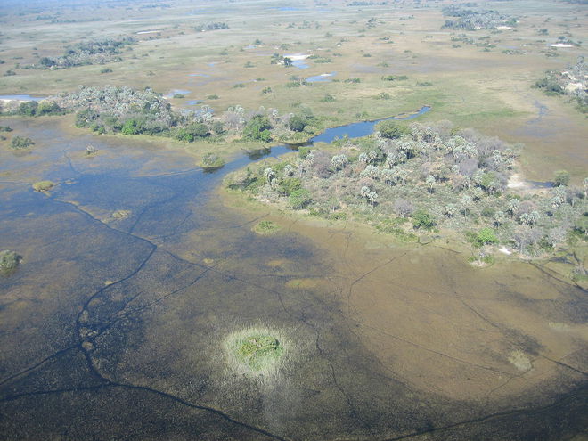 Дельта Окаванго, Ботсвана