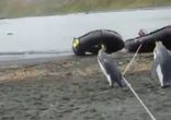 Нарушение Государственной границы)