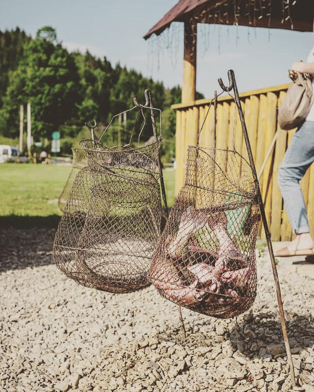 Эко-база "Опака"