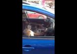 Хозяин! ТЫ ГДЕЕЕ!!!!!!!