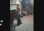 Animals Can Be Jerks - Supercut Compilation 2013