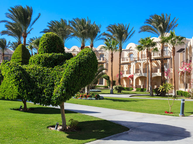 Єгипет, готель Jaz Makadina