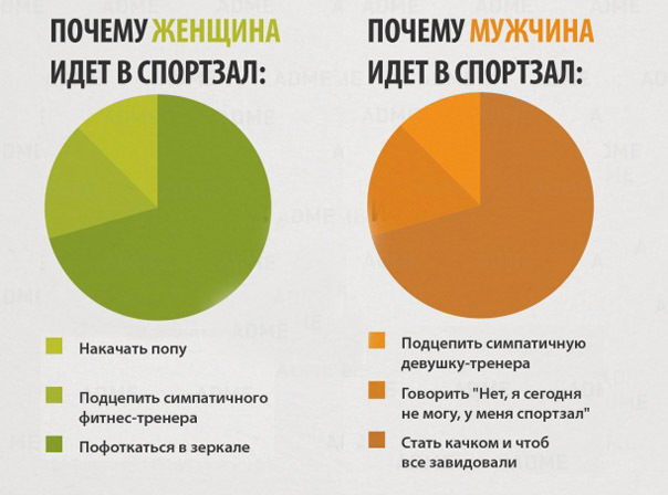 15 главных отличий мужчин и женщин