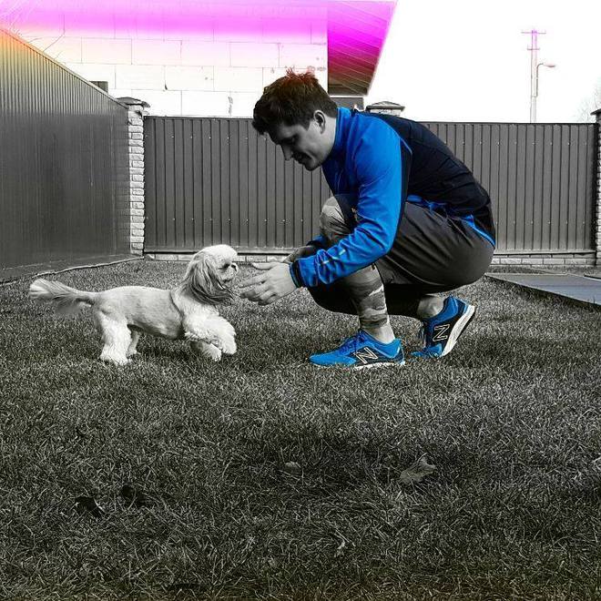 звездные питомцы