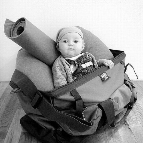 Веселая жизнь