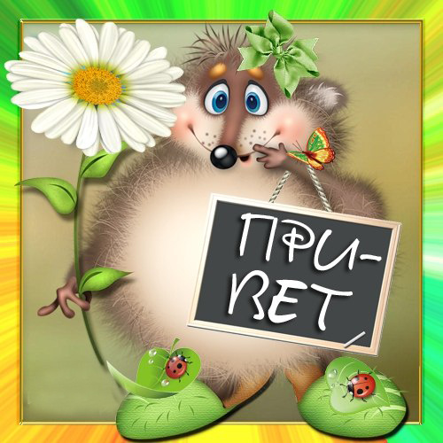 Милый приветик от ежика