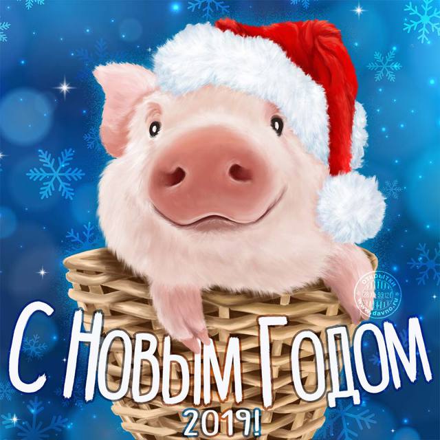 Новый год свиньи 2019