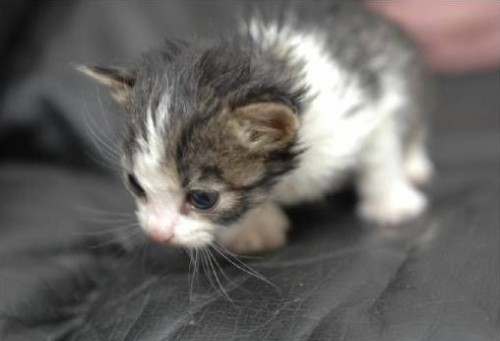 Мы такие разные