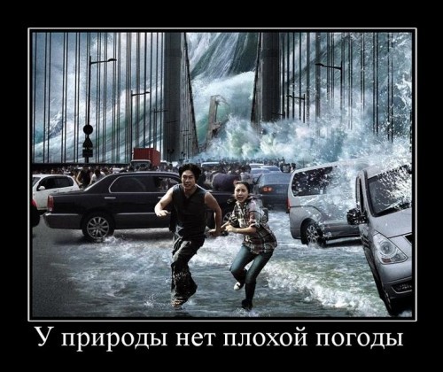 Смешные демотиваторы