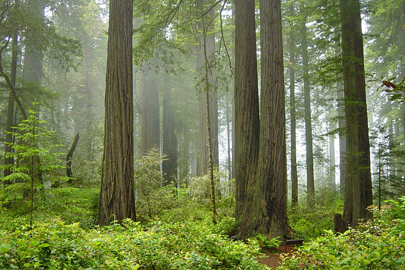 Кинотуризм: Звездные войны