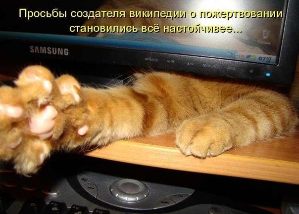 Прикольные картинки с котоматрицами