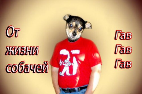 Мастера фотошопа