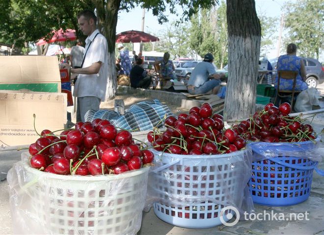 В столовые Януковича купили черешню по 200 гривен и малину по 670 гривен