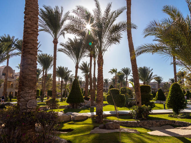 Єгипет, готель Jaz Makadina