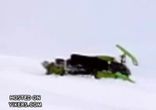 Снегоходные гонки