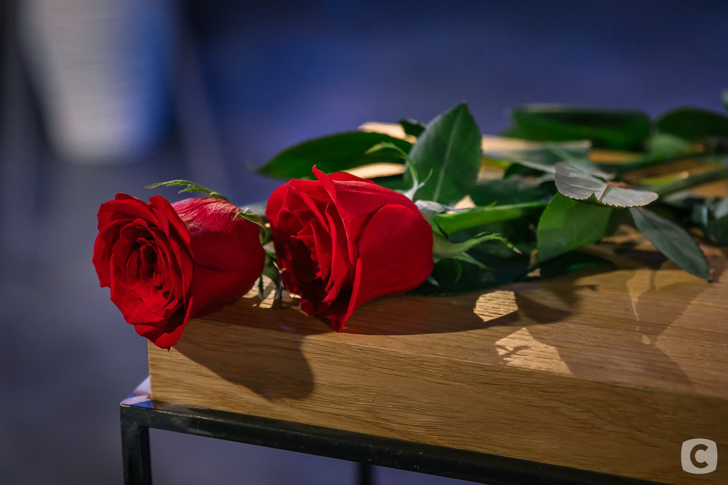 Холостяк 9 - смотреть онлайн 11 выпуск от 17.05.2019