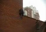 По стене