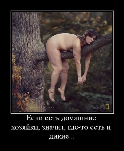 Смешные демотиваторы