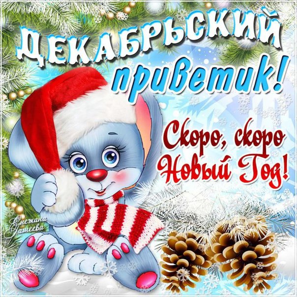 Декабрьский приветик!