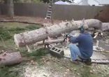 Отпилил немного дерева - верни всё на место!