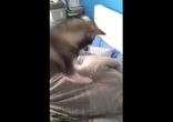 Как надо будить