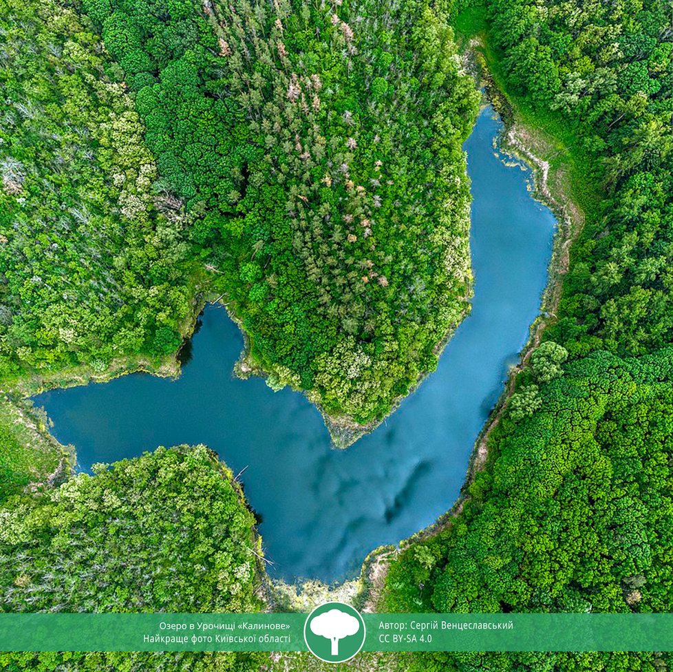 Вики любит Землю 2021