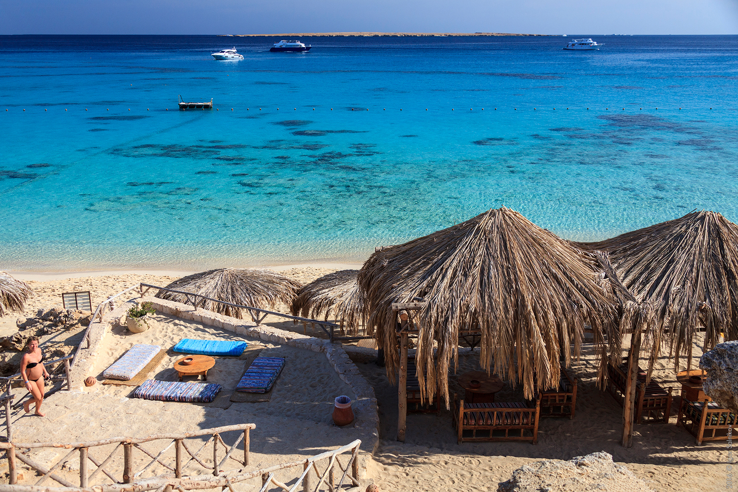 Египет, заповедник Махмея