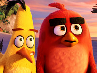 Рэд и Чак. The Angry Birds Movie HD