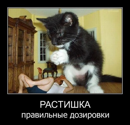 Прикольные демотиваторы