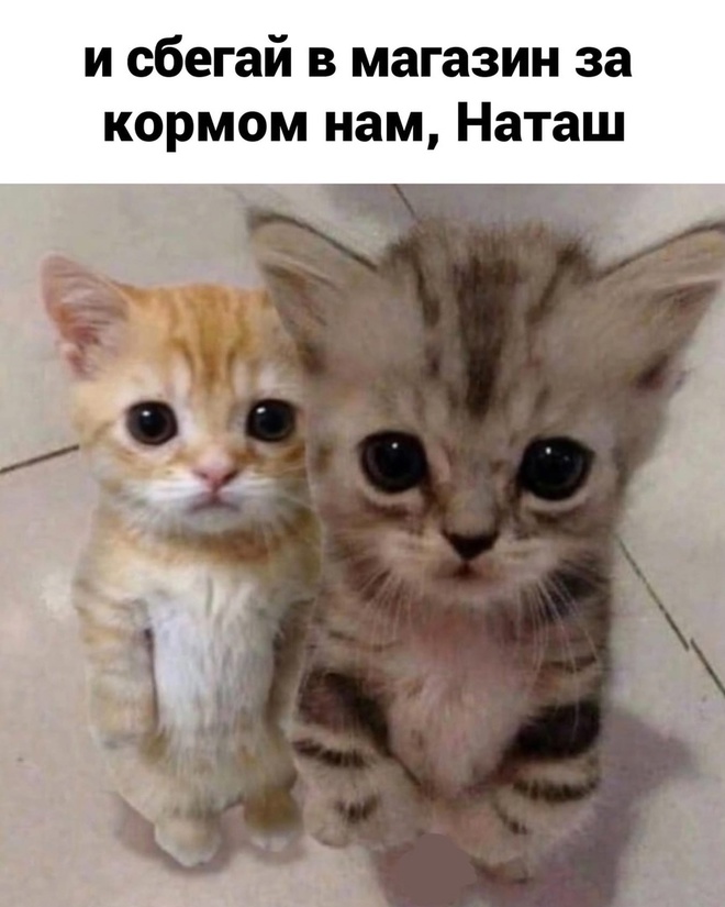 Наташа, нам надоело