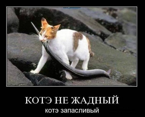 Юморные демотиваторы